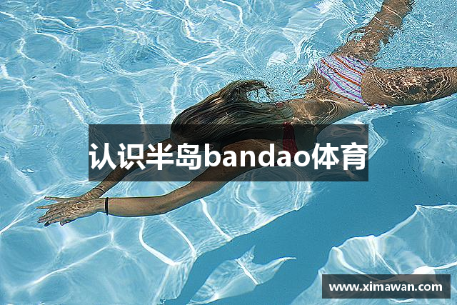 认识半岛bandao体育